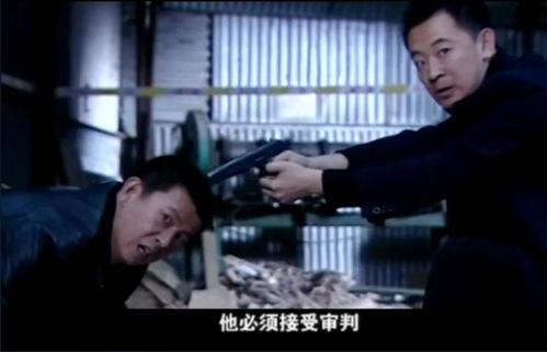 国产电影被骂视频大全,揭秘热门影片争议瞬间