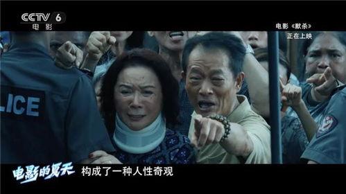 国产电影预告片套路视频,揭秘那些让人上瘾的预告片技巧