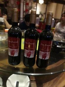 国产品牌红酒测评视频,品味本土佳酿，探寻中国红酒新风尚